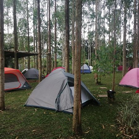 Murchison Backpackers Masindi エクステリア 写真