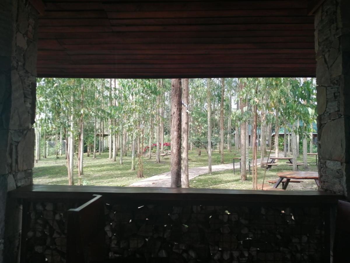 Murchison Backpackers Masindi エクステリア 写真