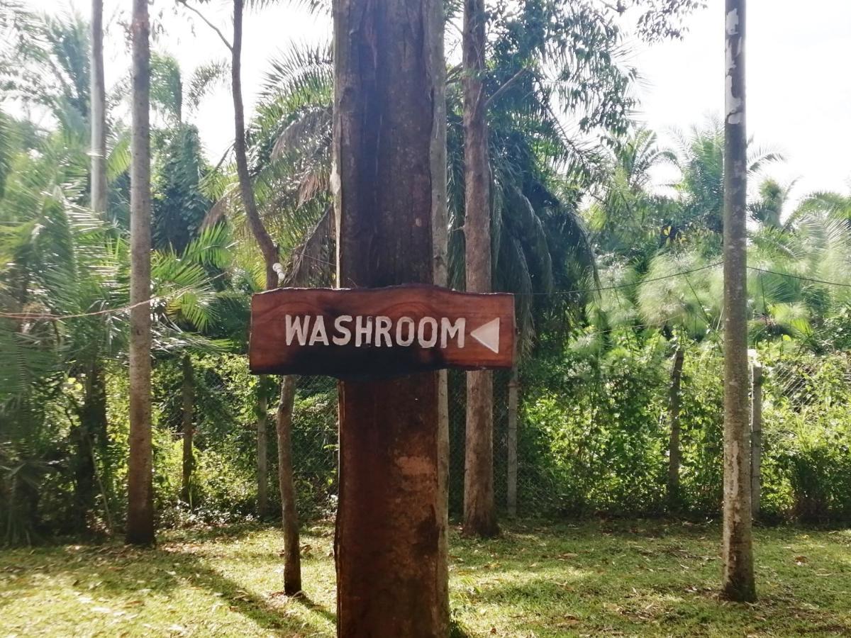 Murchison Backpackers Masindi エクステリア 写真