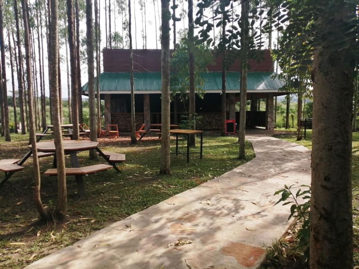 Murchison Backpackers Masindi エクステリア 写真