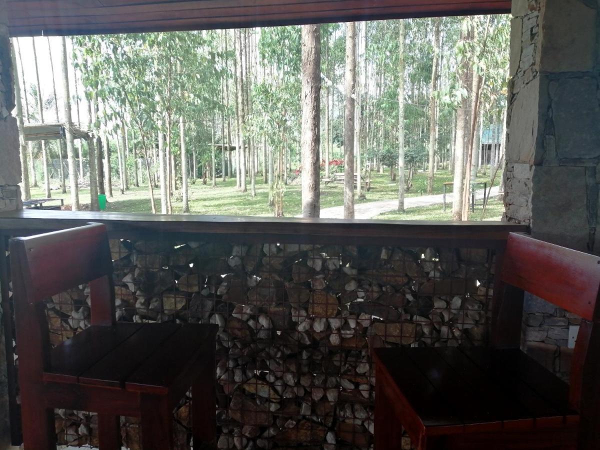 Murchison Backpackers Masindi エクステリア 写真