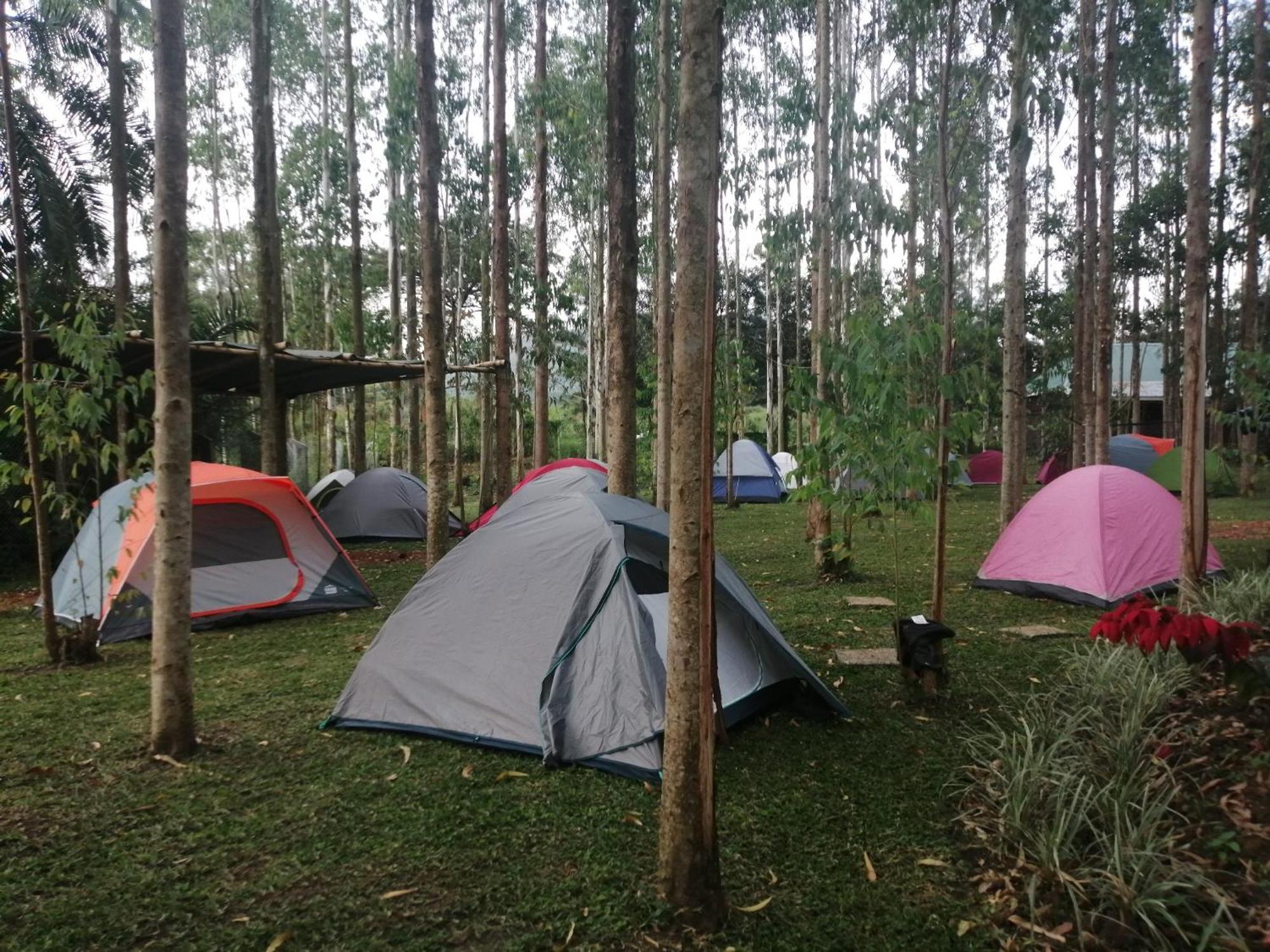 Murchison Backpackers Masindi エクステリア 写真