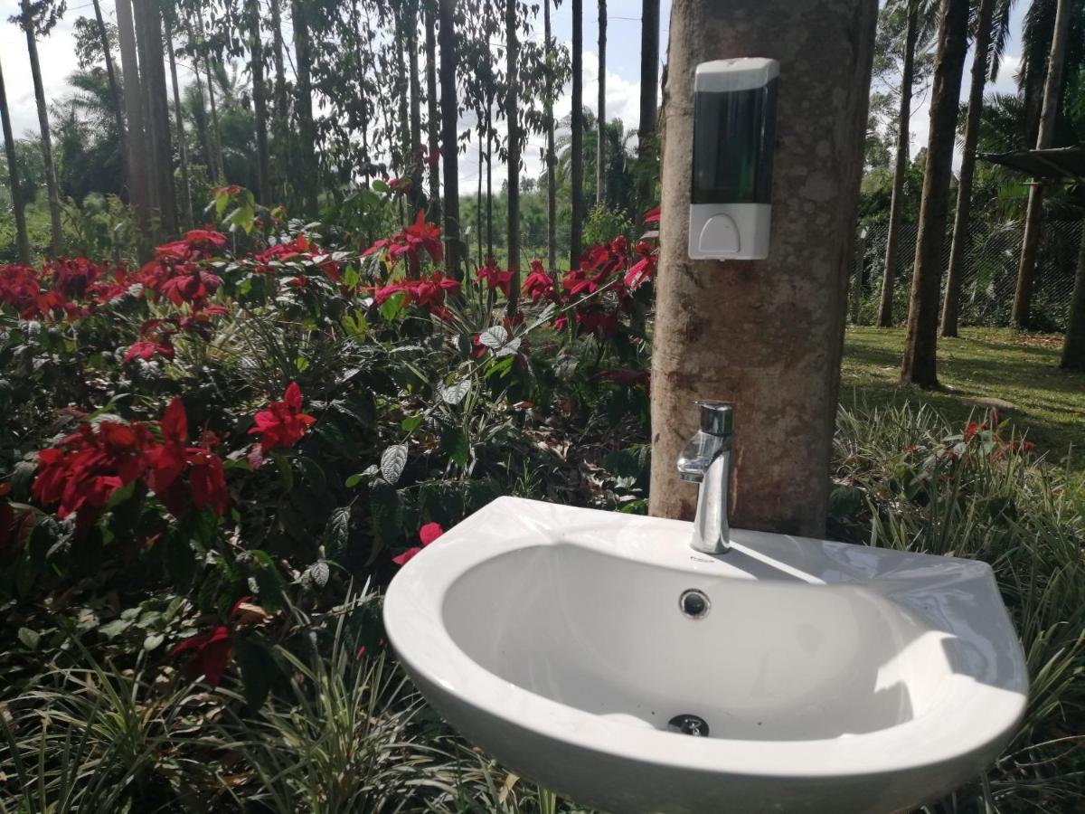 Murchison Backpackers Masindi エクステリア 写真